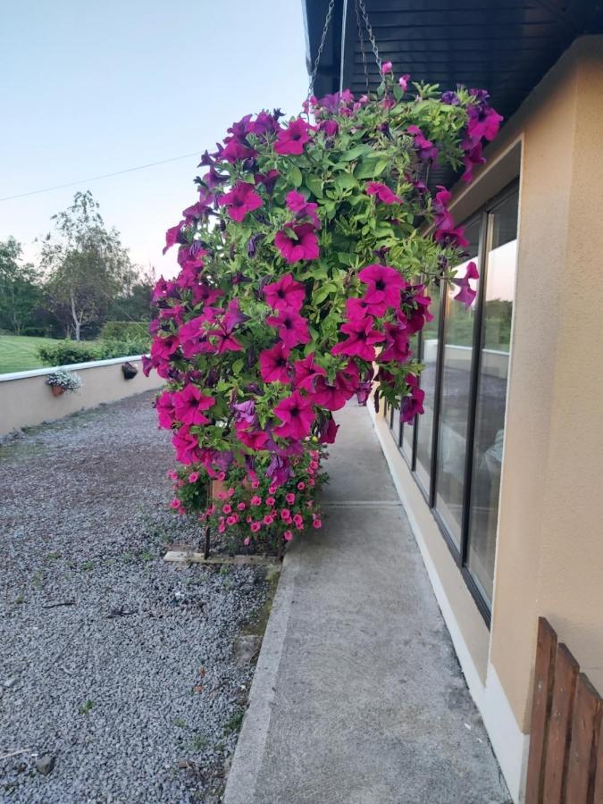 Ard Aoibhinn Roscommon Lecarrow Exterior foto